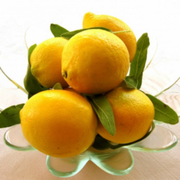 Group logo of Fast food Junkies